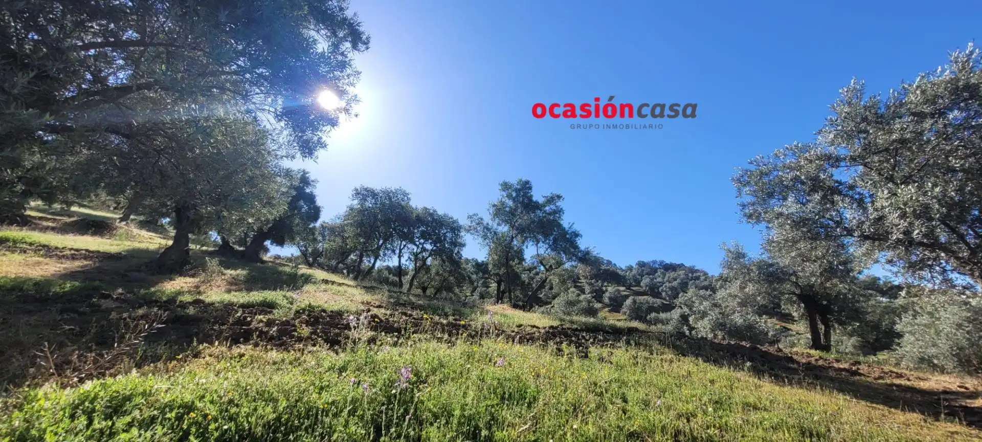 Casa rústica en venda a Pozoblanco, imagen 27