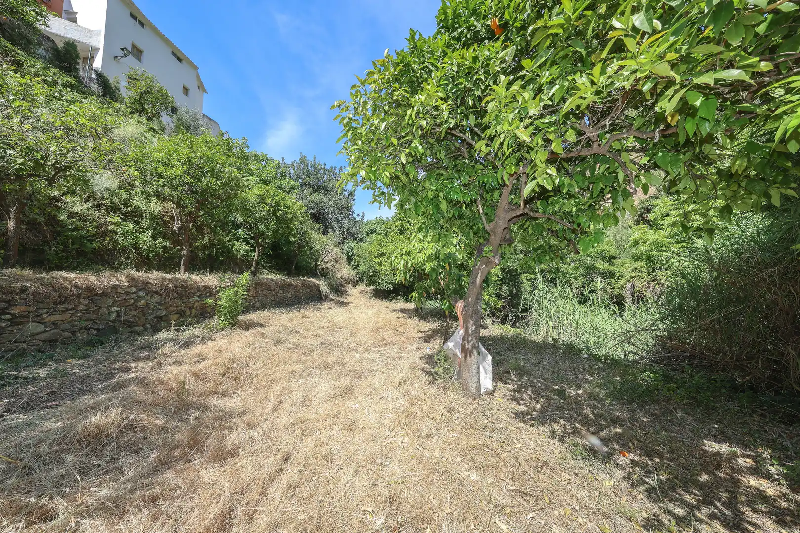 Rustikales Grundstück zum Verkauf in Calle Barranco de Amador, imagen 5