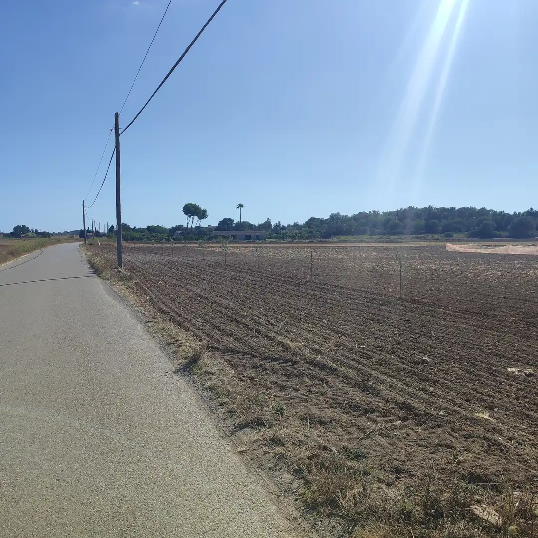 Rustikales Grundstück zum Verkauf in Poligono Poligon 25 352, imagen 7