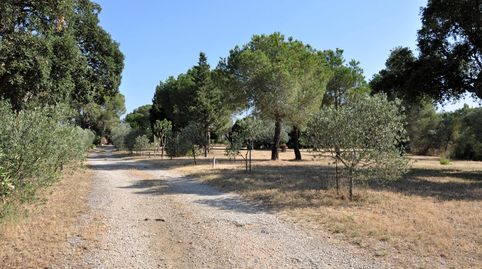 Foto 3 de Casa o chalet en venta en Garriguella, Girona