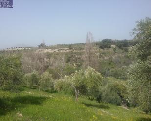 Land for sale in  Granada Capital