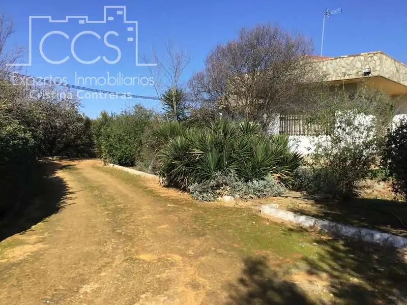 Villa avec piscine à vendre à Sanlúcar la Mayor, imagen 18