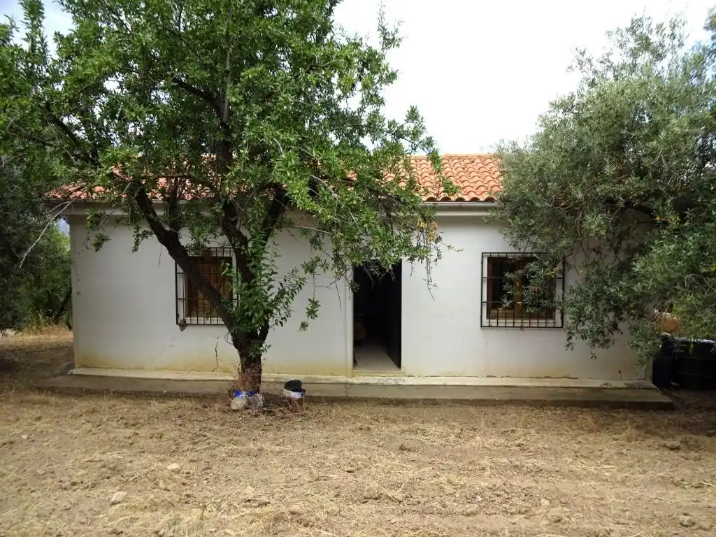 Lands and plots for sale in Pinos Genil