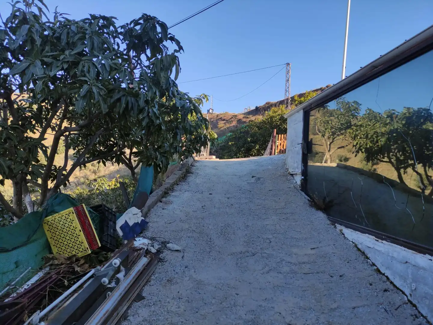 Vista exterior de Finca rústica en venta en Cútar con Jardín privado, Terraza y Piscina