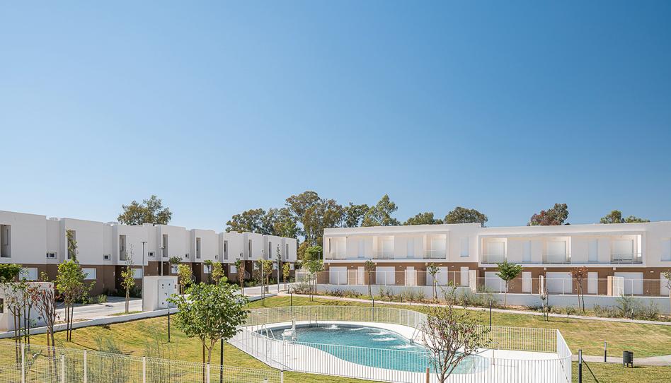 Foto 0 de Promoció Hato Verde Soul