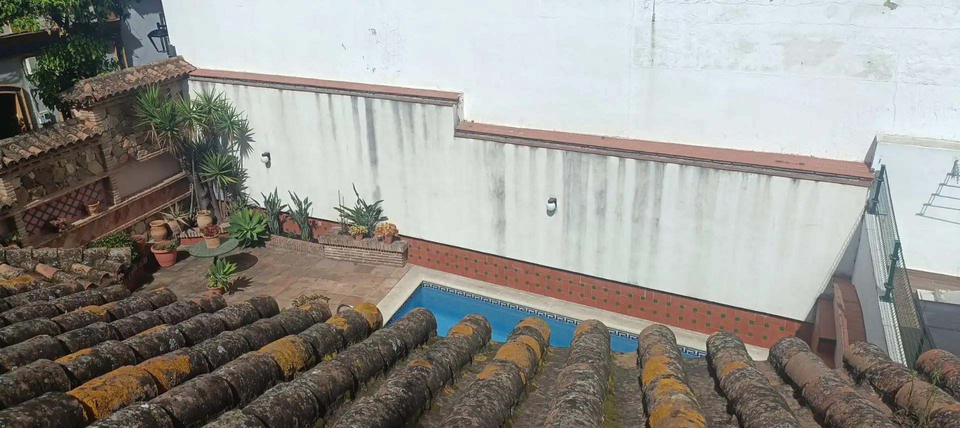Piscina de Casa o chalet en venta en Algeciras con Terraza, Trastero y Piscina