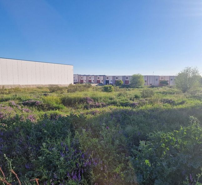Industrial land for sale in Valdemoro