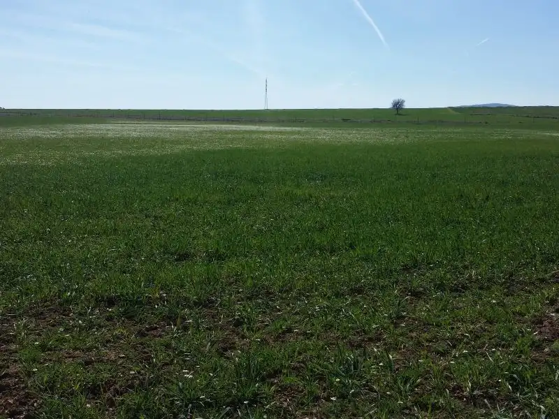 Casa rústica en venda a Peñarroya-Pueblonuevo