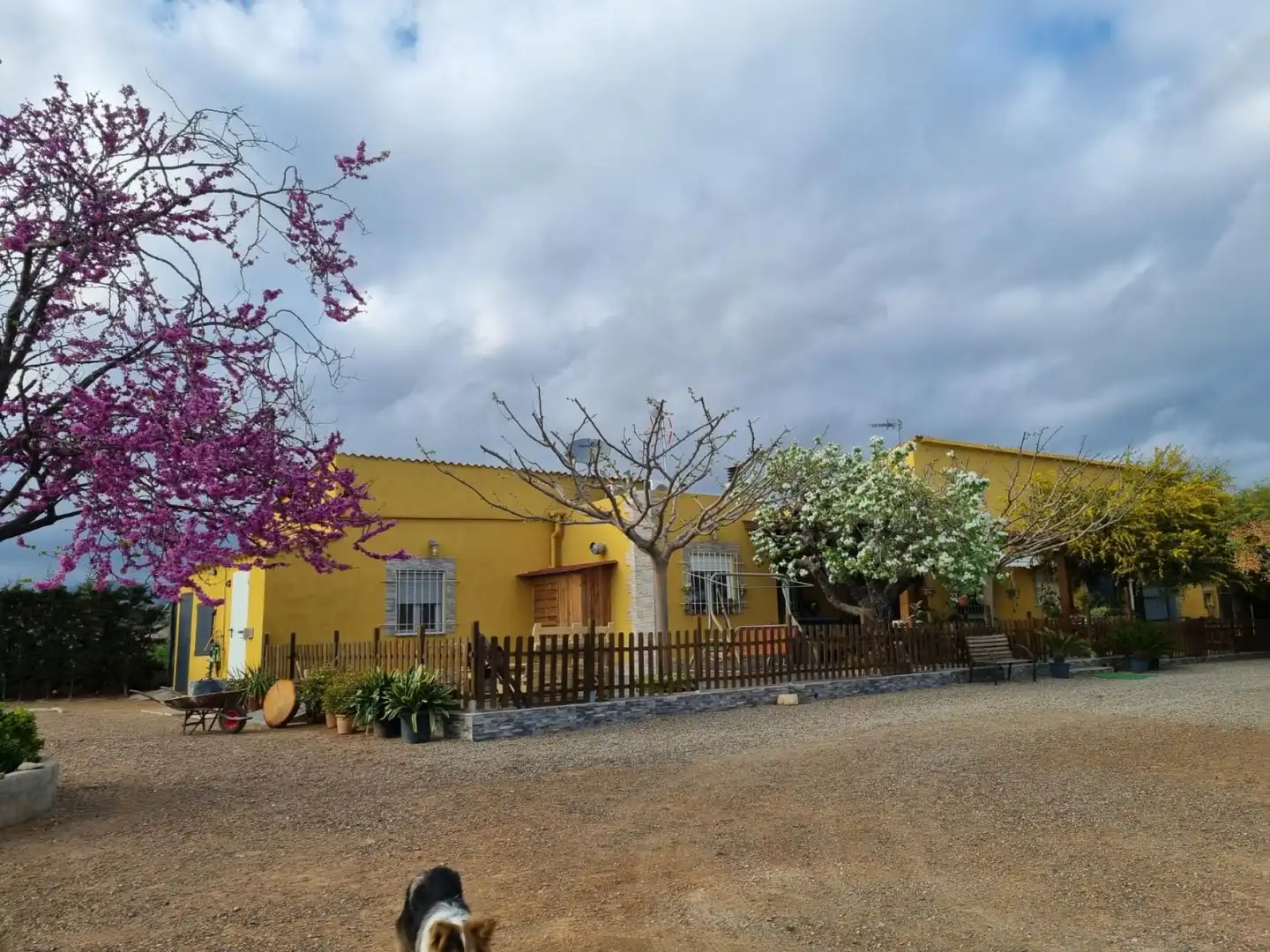 Vista exterior de Finca rústica en venda en Reus amb Calefacció, Terrassa i Moblat