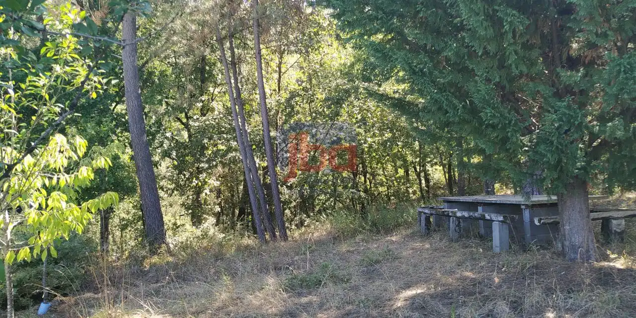 Terreni e lotti in vendita a O Pereiro de Aguiar, imagen 4