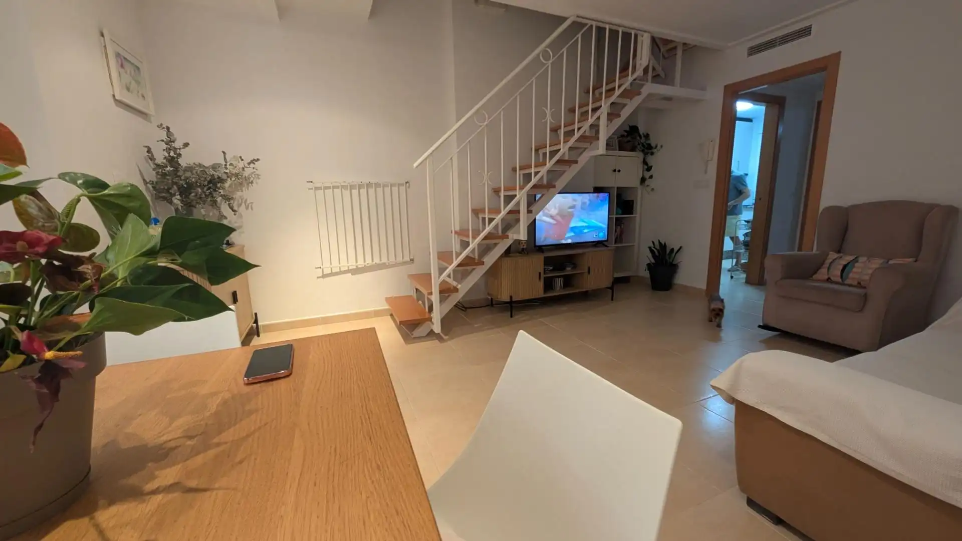 Living room of Duplexes for rent in Santa Pola