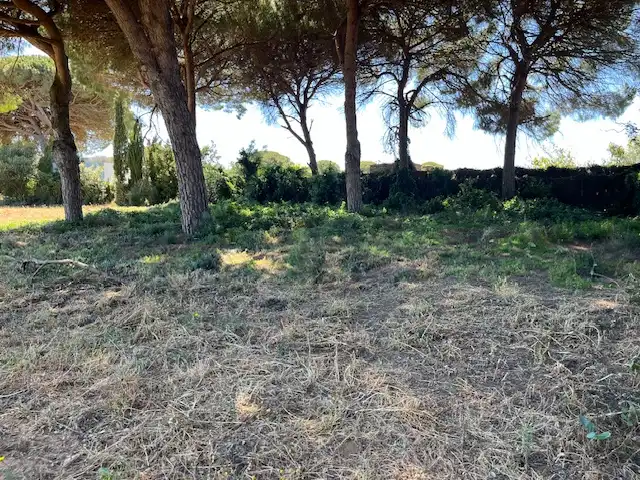 Finca rústica en venta en Vejer de la Frontera