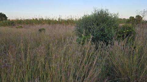 Photo 4 of Land for sale in L'Almadrava - L'Estanyó, Alicante