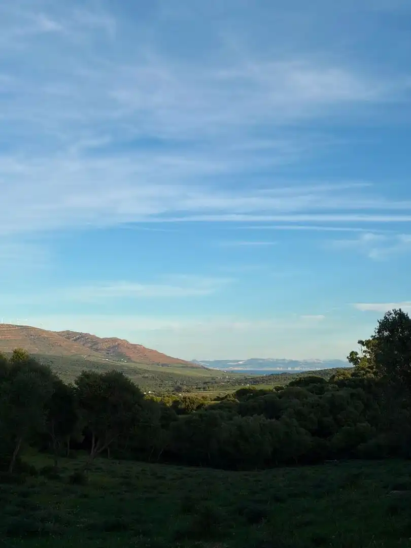 Vista exterior de Finca rústica en venta en Tarifa