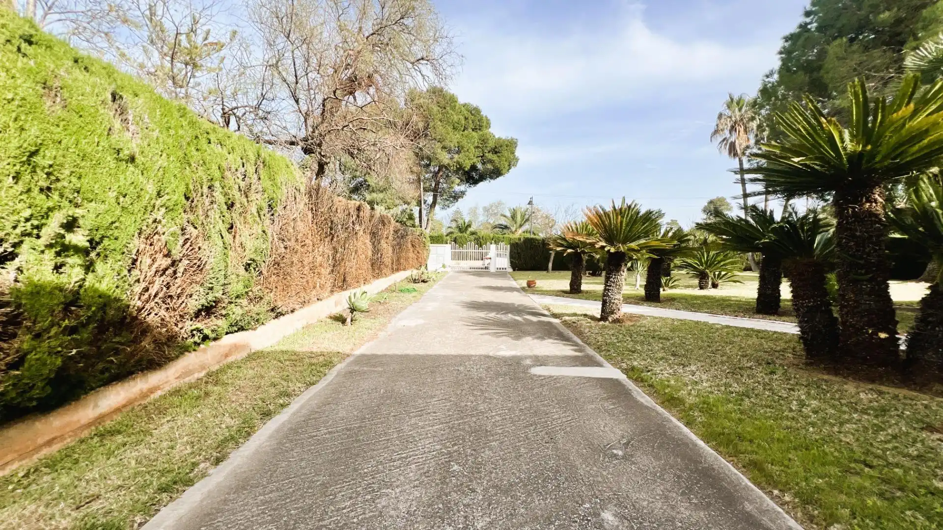 Vista exterior de Casa o chalet en venta en Castellón de la Plana / Castelló de la Plana con Aire acondicionado, Calefacción y Jardín privado