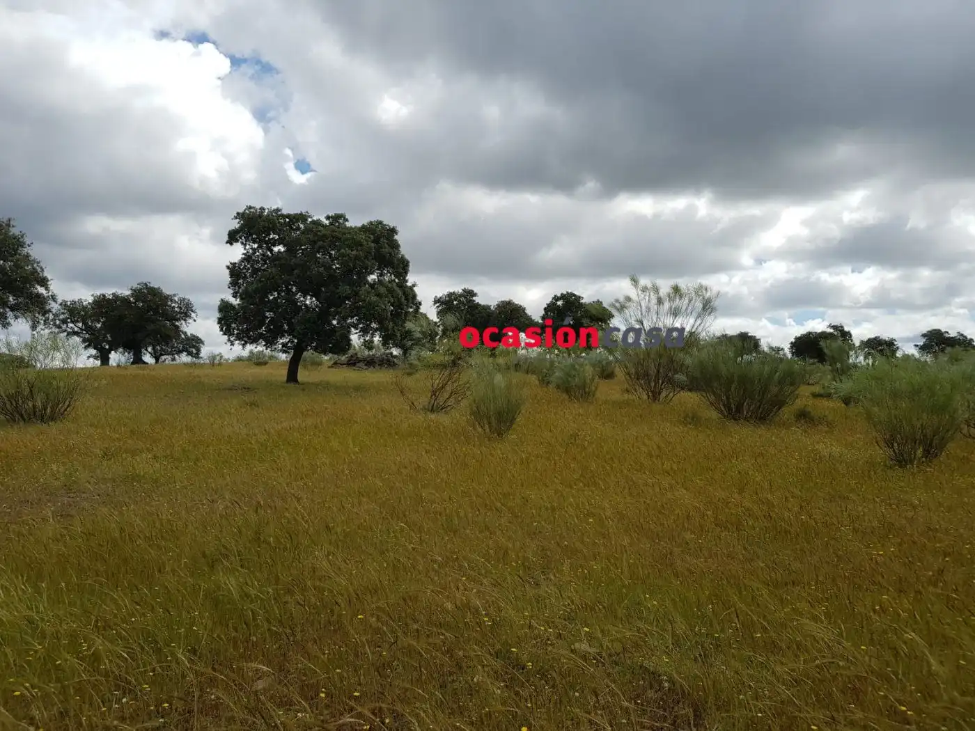 Finca rústica en venta en Torrecampo