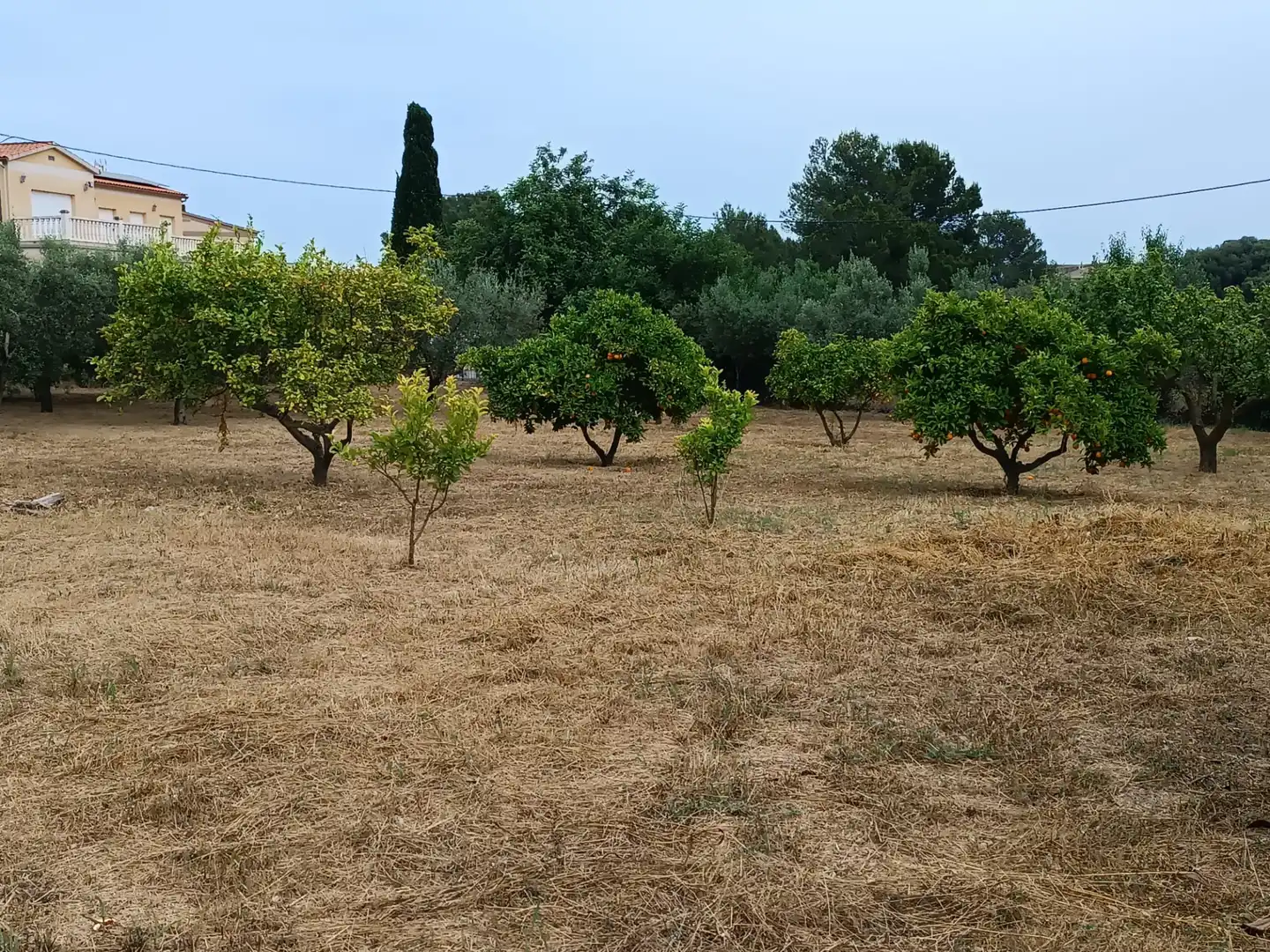 Terreno residencial en venta en Carrer Reus, imagen 7