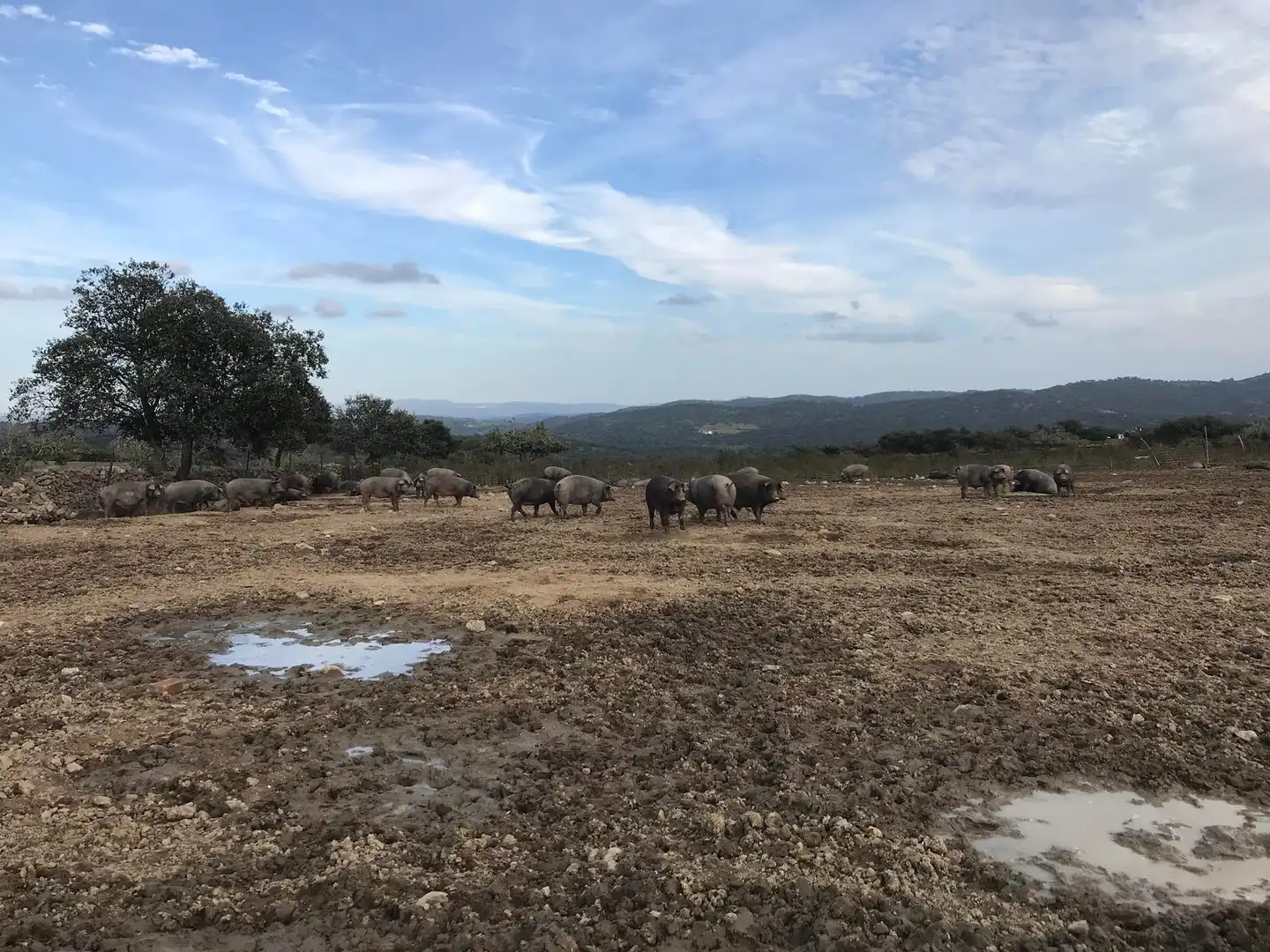 Grundstücke zum Verkauf in Sancti-Spíritus (Salamanca)