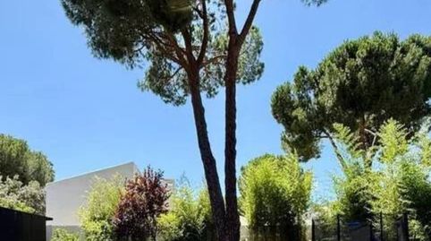 Photo 4 of Houses for sale in La Cabaña, Pozuelo de Alarcón