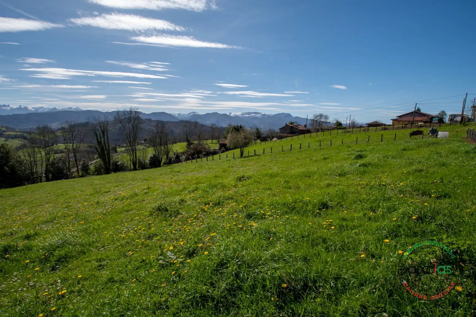 Terreno rustico in vendita a Cabranes - Naveda, imagen 14
