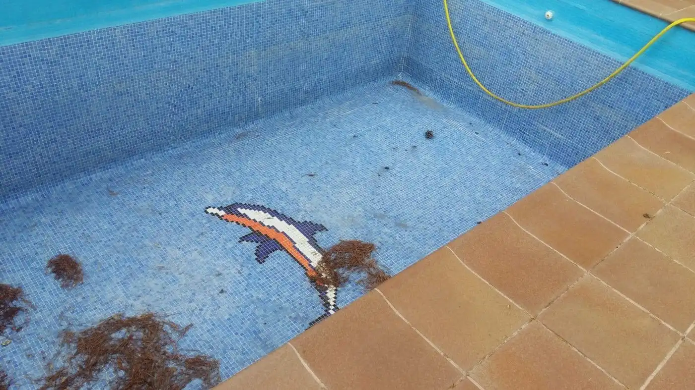 Swimming pool of Residential for sale in Riells i Viabrea