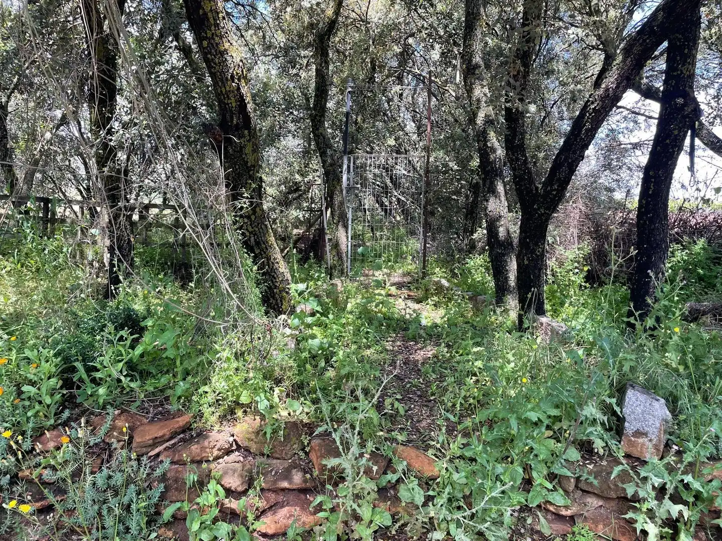 Finca rústica en venda en Carrión de Calatrava amb Calefacció, Terrassa i Traster