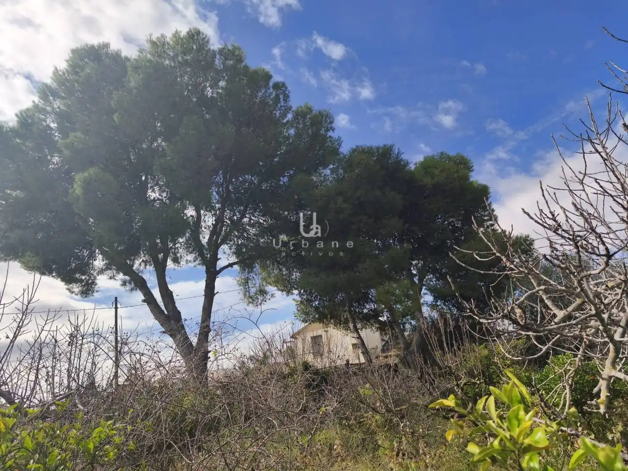 Finca rústica en venta en Murcia con Terraza