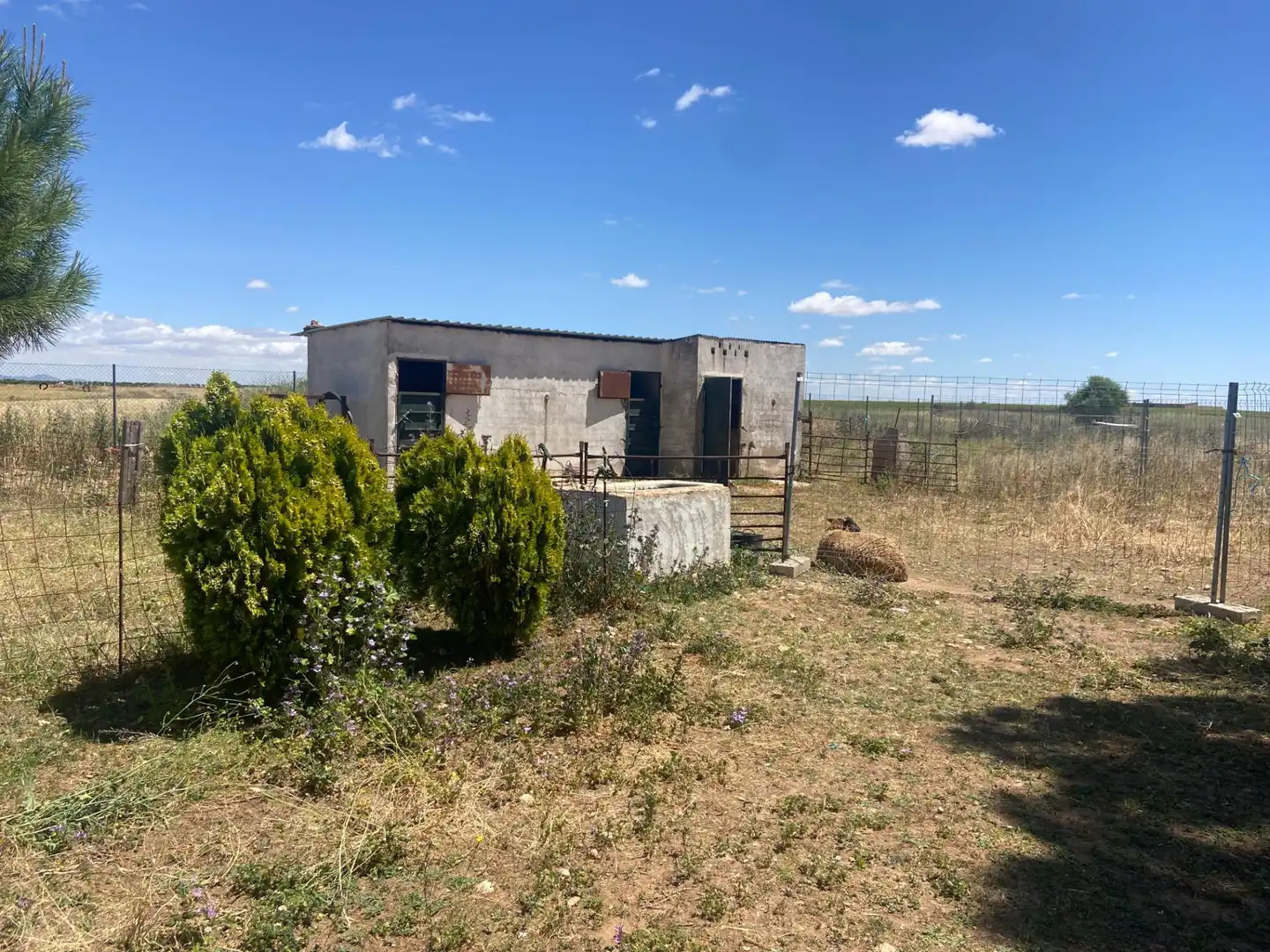 Terreny residencial en venda a Camino Camino de Torralba de Calatrava, imagen 10