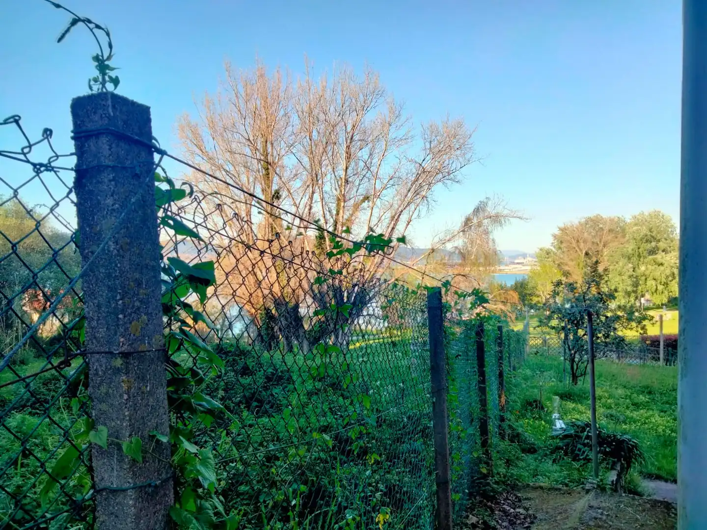 Casa o chalet en venta en Vigo 