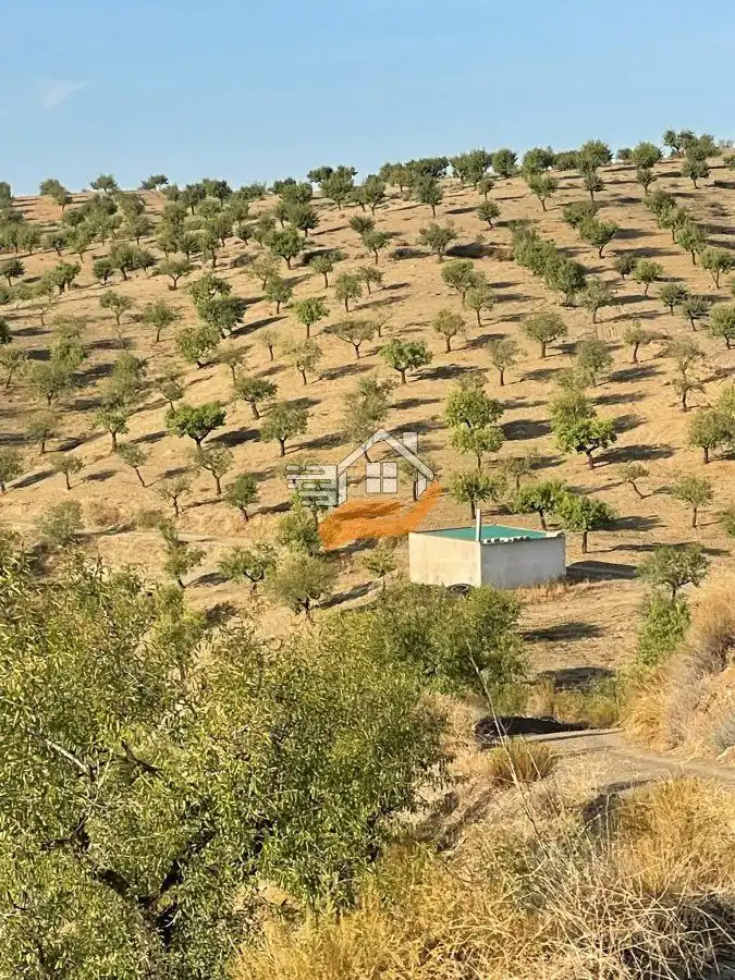 Maison rustique à vendre à Vélez-Rubio, imagen 3