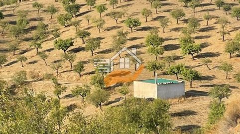 Finca Rúst. en venta en VélezRubio., immagine 3
