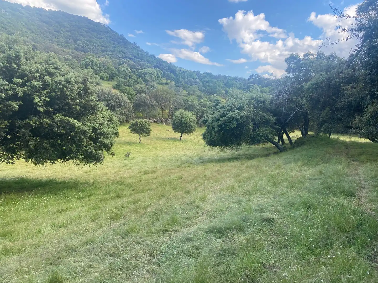 Finca rústica en venta en El Real de San Vicente con Aire acondicionado, Calefacción y Terraza