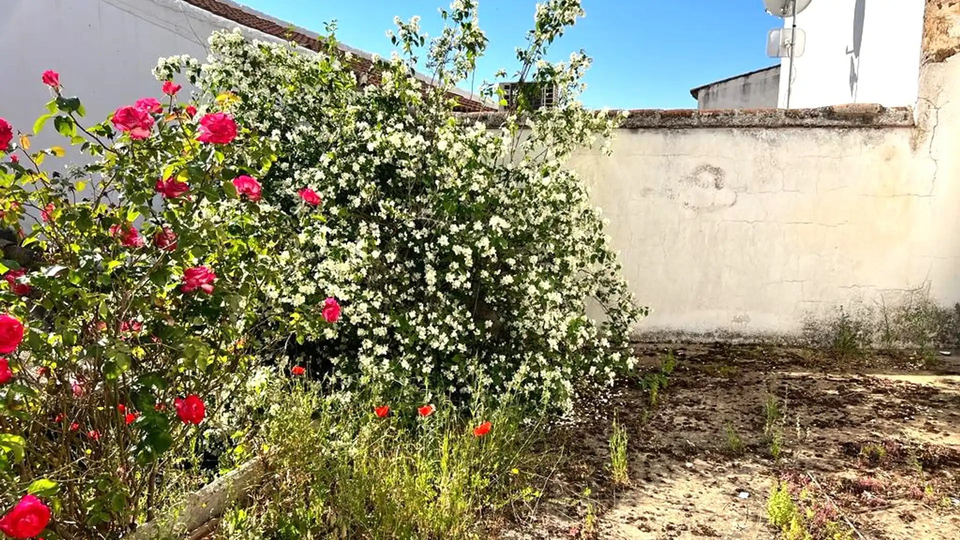 Casa o chalet en venta en Villaviciosa de Córdoba