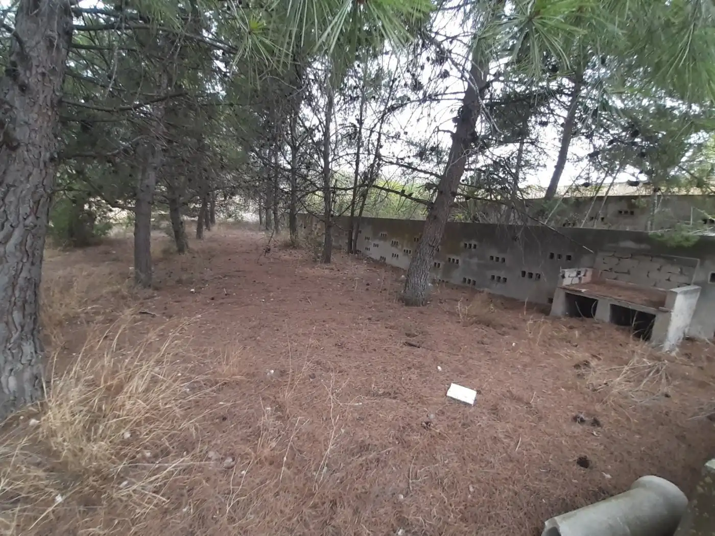 Maison rustique avec piscine à vendre à Monóvar  / Monòver, imagen 10