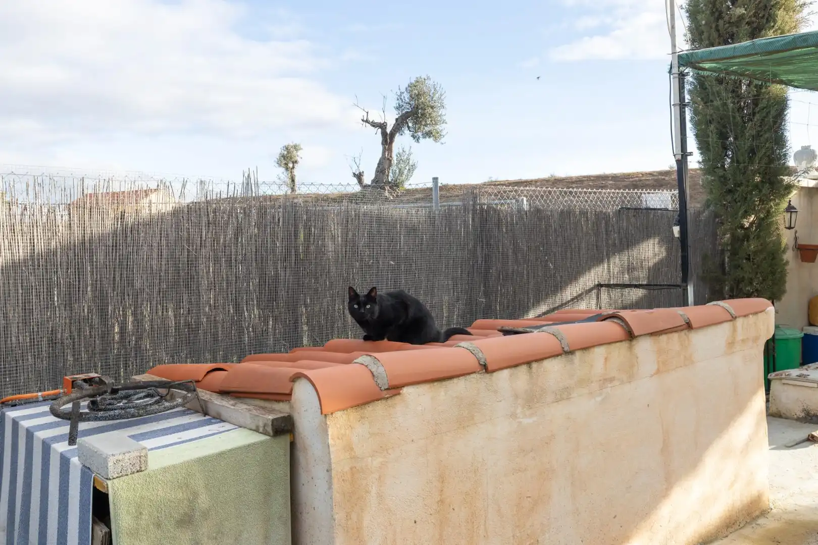 Finca rústica en venda a Avenida Doctor Manuel López Molín, 10, Chimeneas