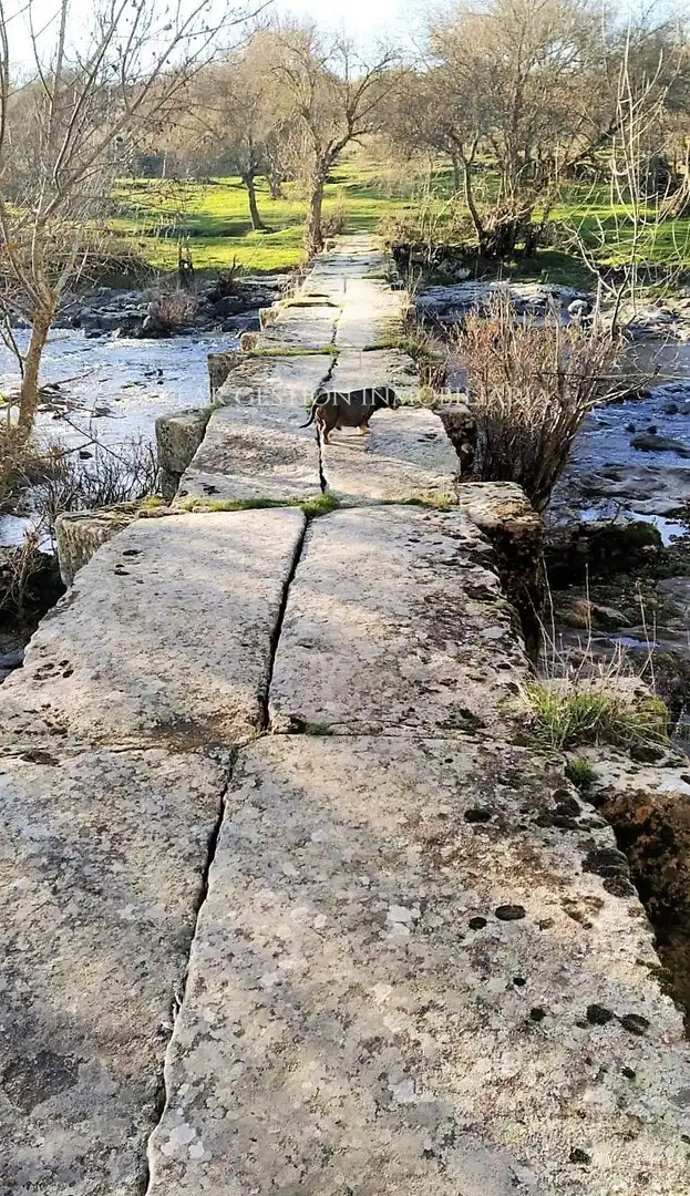 Vista exterior de Casa o xalet en venda en Fuenteliante amb Calefacció, Moblat i Forn