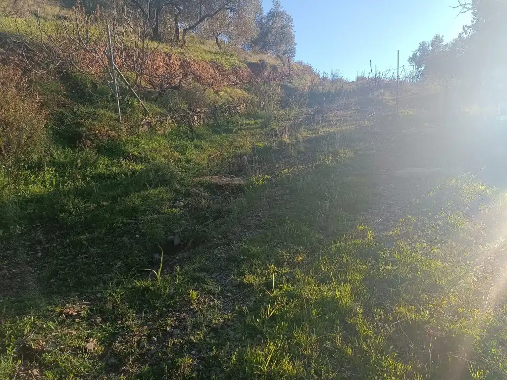 Terreno rústico en venta en Avenida Huerta De La, imagen 17