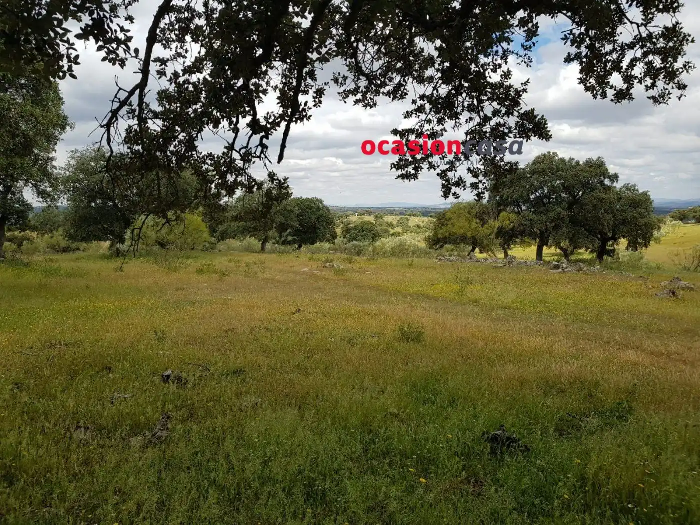 Finca rústica en venta en Torrecampo