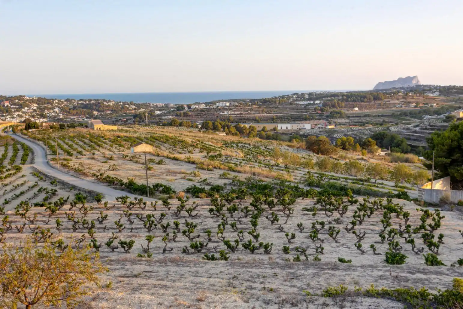 Vista exterior de Finca rústica en venda en Moraira amb Jardí privat, Traster i Piscina