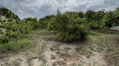 A la venta  cortijo e invernadero en Molvízar, municipio de la costa granadina.El cortijo tiene ochenta y tres metros cuadrados co, immagine 4