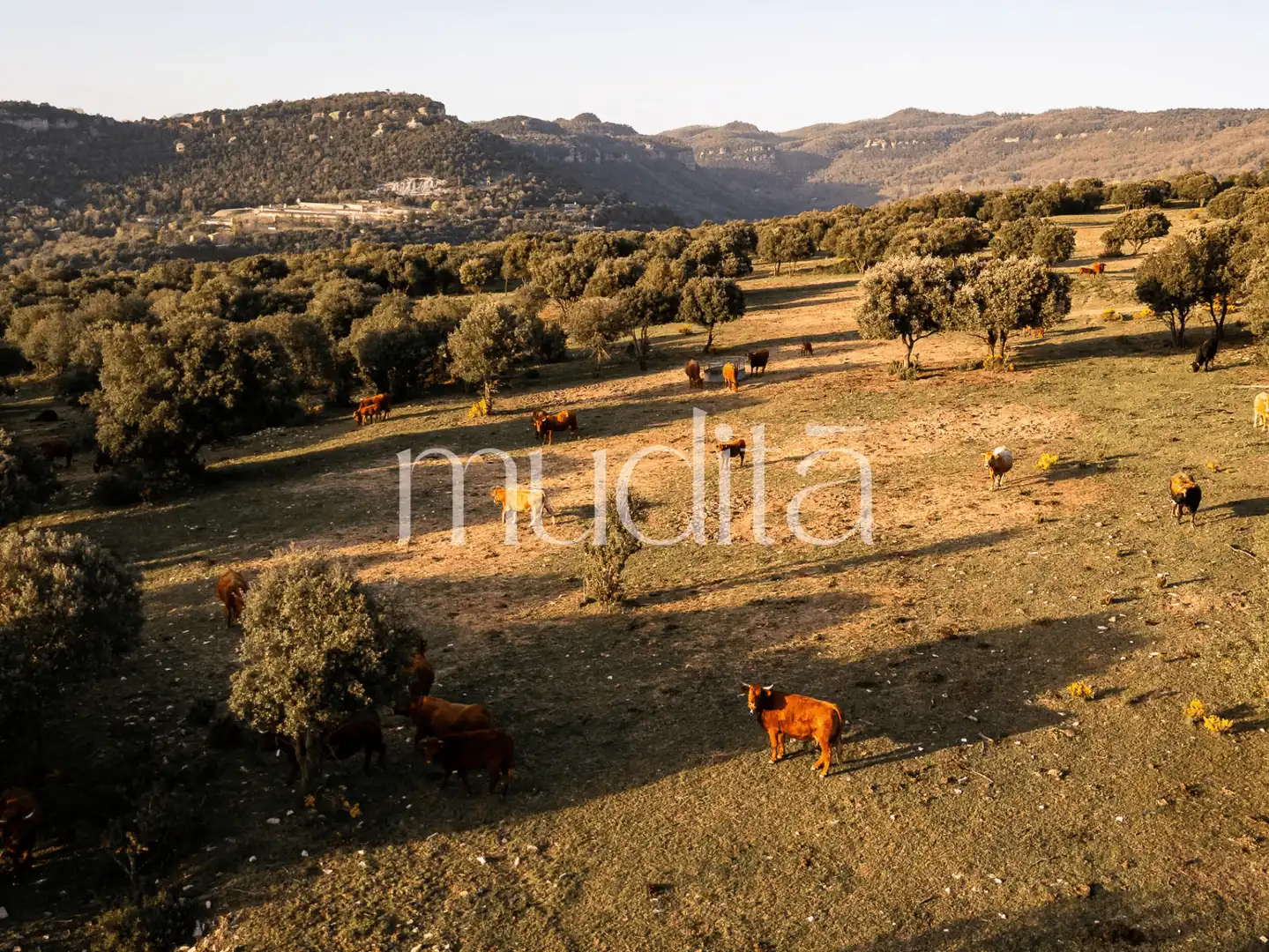 Jardí de Finca rústica en venda en Tavertet amb Calefacció, Jardí privat i Terrassa