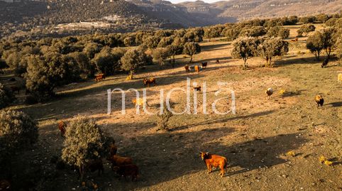 Foto 4 de Finca rústica en venda a Tavertet, Barcelona