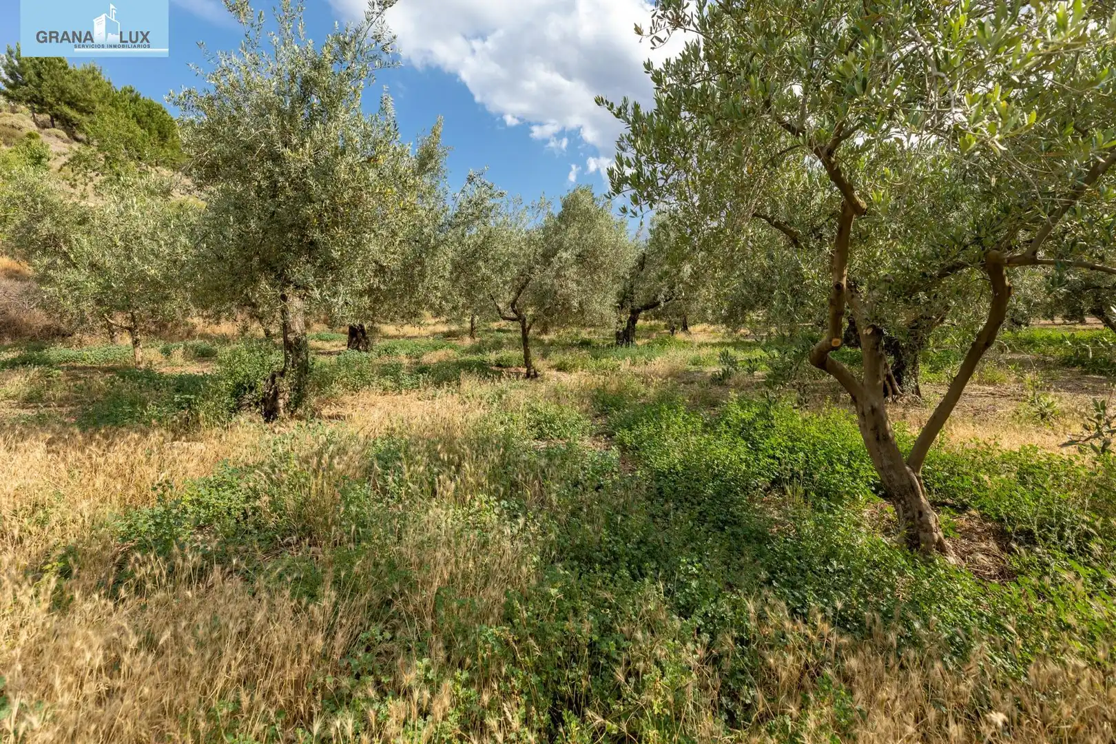 Terreno rustico in vendita a Calle POL 1, PARC 176, imagen 11