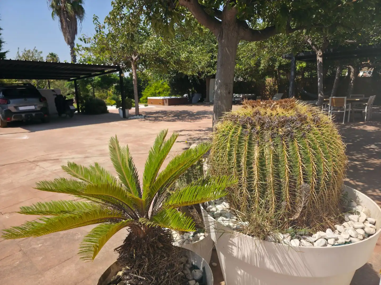Jardí de Casa o xalet de lloguer en Ausias March