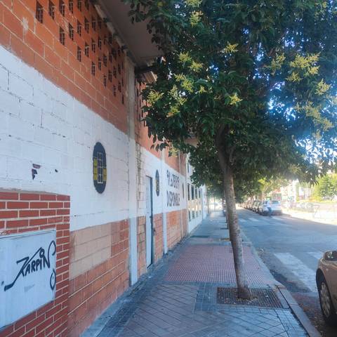 Local comercial en Alquiler en Avenida de la Constitución, 188 en Cañada - Mancha Amarilla