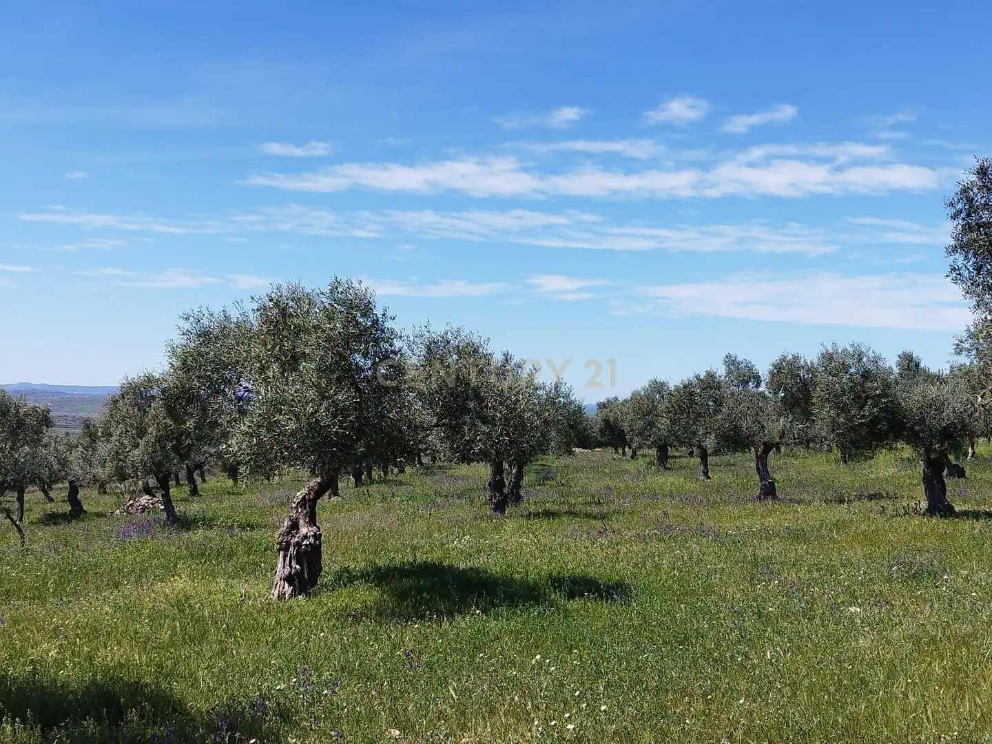 Terreni e lotti in vendita a 06430 Zalamea de la Serena, Spain