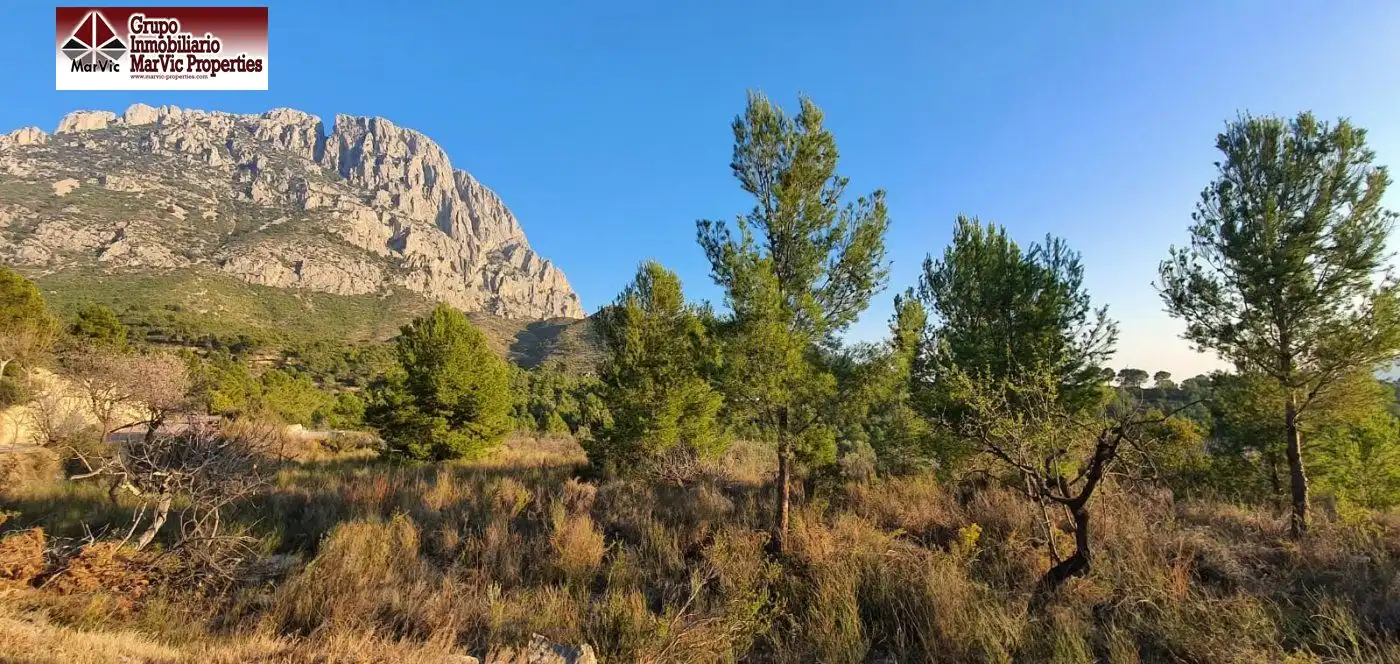 Terreny residencial en venda a Finestrat Pueblo, imagen 2