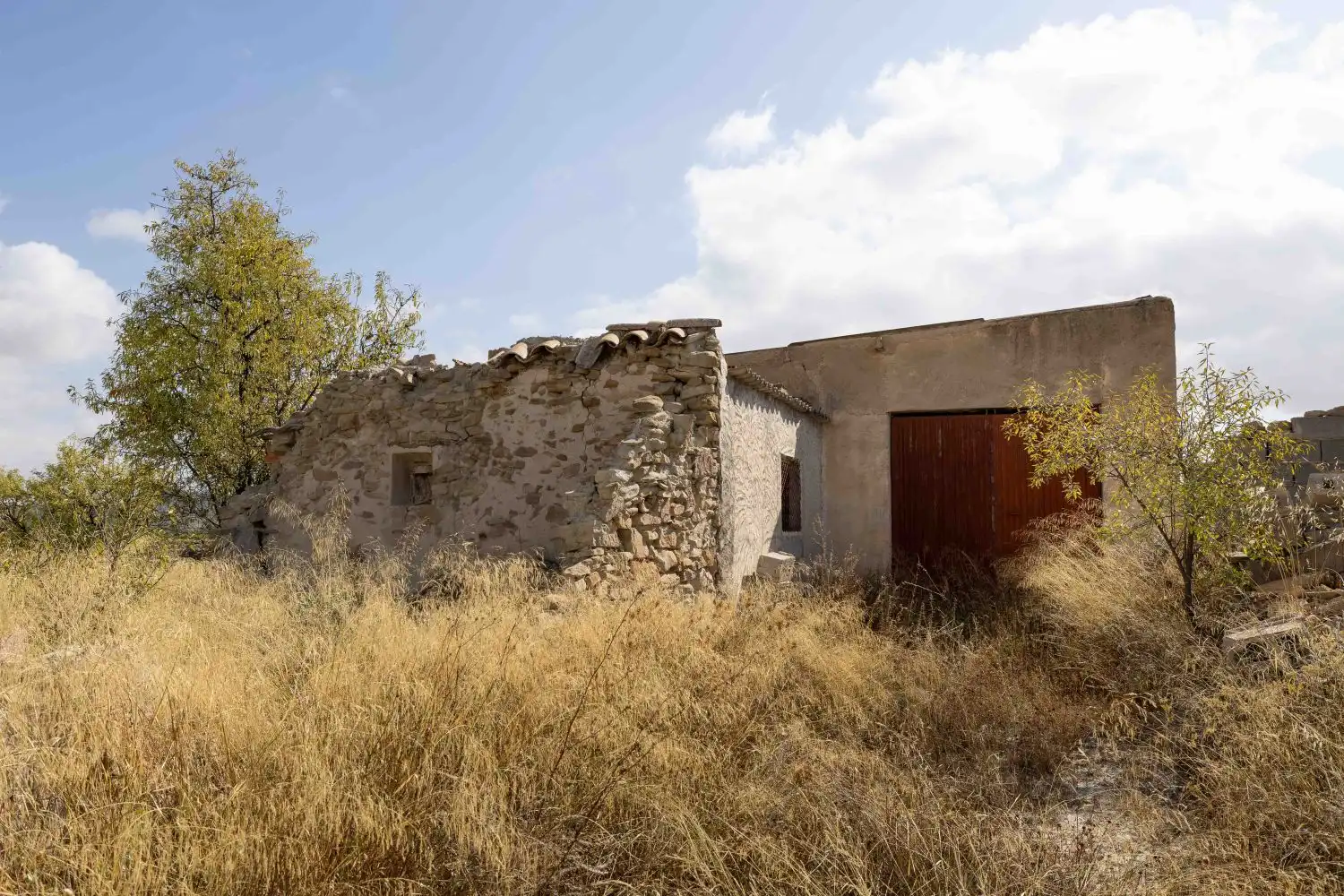 Vista exterior de Finca rústica en venta en Mula