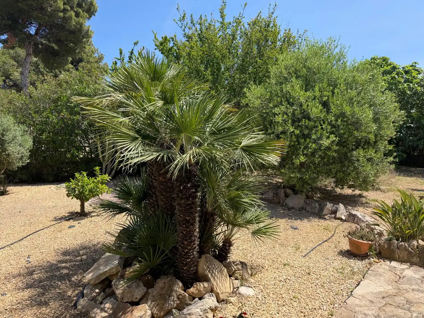 Garden of Houses for sale in Jávea / Xàbia  with Private garden, Terrace and Swimming Pool