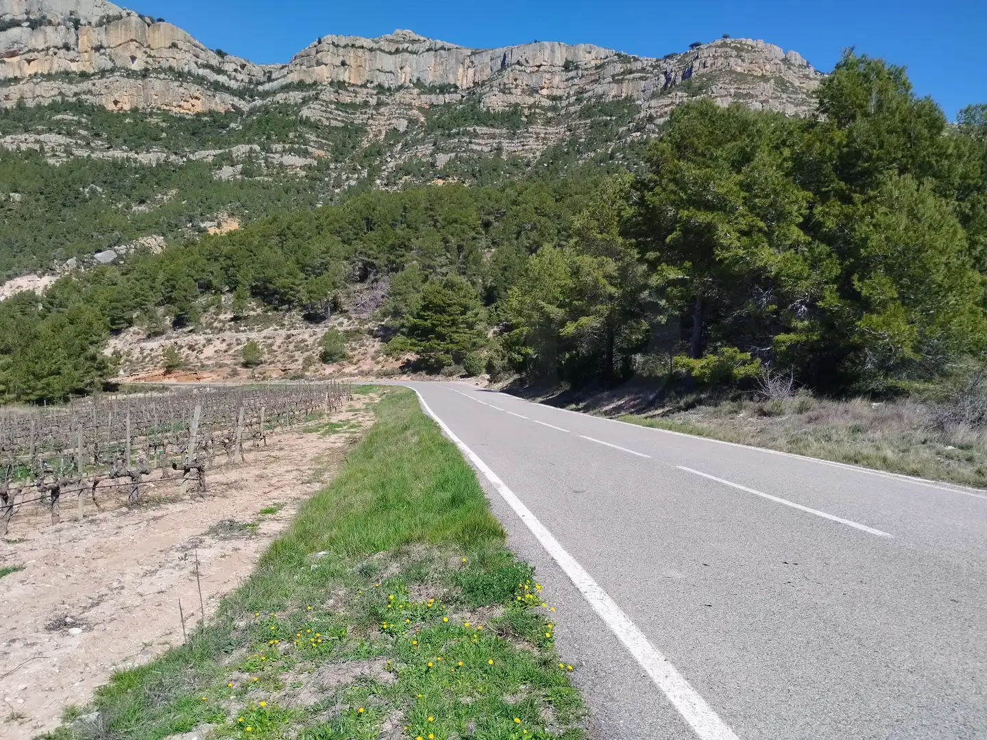 Vista exterior de Terreno en venta en La Morera de Montsant